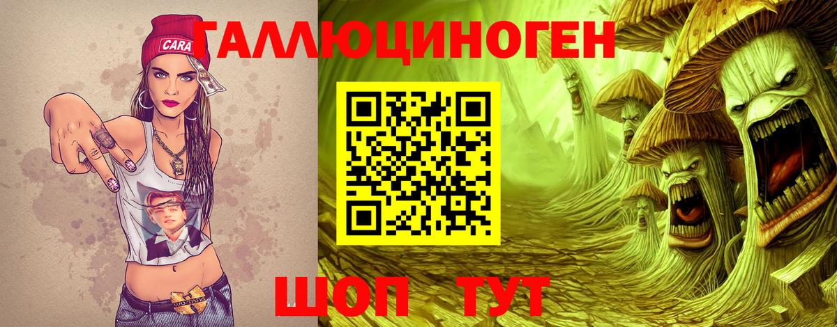 Псилоцибиновые грибы GOLDEN TEACHER  Вход с VPN  Псилоцибиновые грибы Cubensis  наркота  Междуреченск 